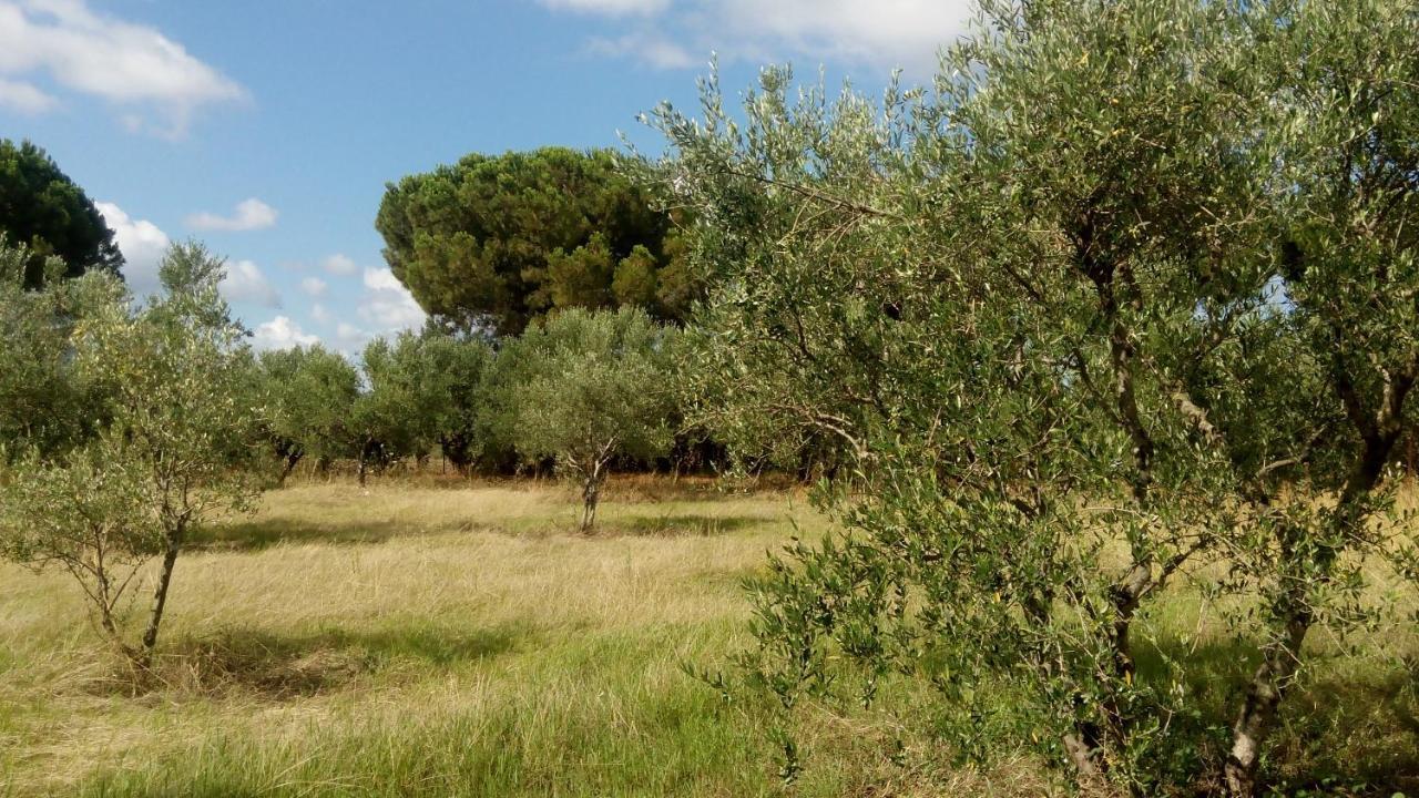 Olive Garden Guest House Kyparissia Exterior photo