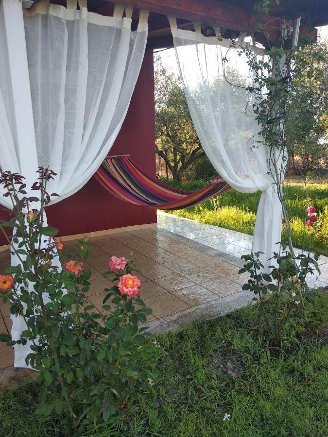 Olive Garden Guest House Kyparissia Exterior photo